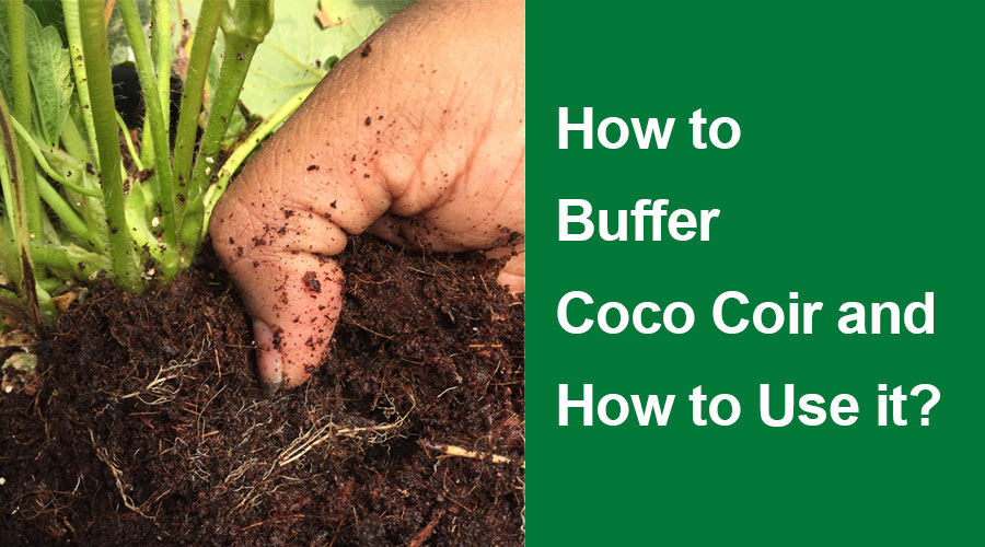 how to buffer coco coir easily