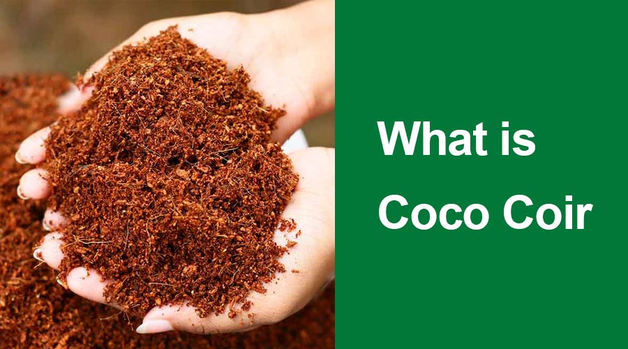 what is coco coir