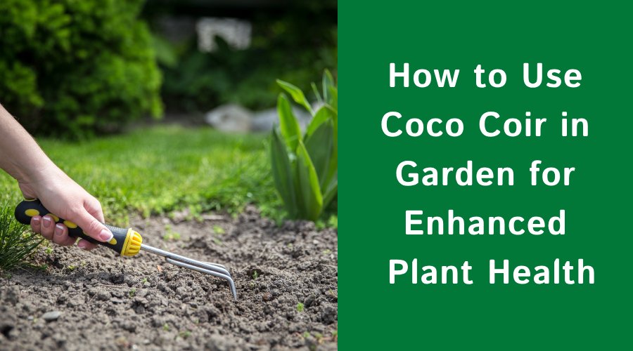 How to Use Coco Coir Bricks for Sustainable Planting